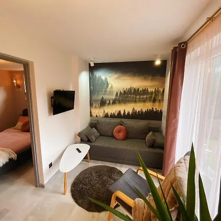 Apartamenty Jagodzianka - Jacuzzi, Sauna, Teznia Solankowa Ustrzyki Dolne Exterior foto