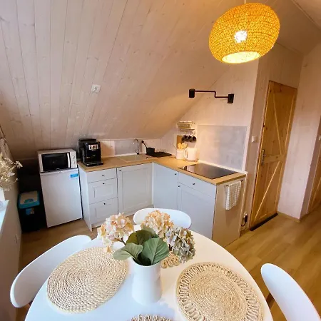 Apartamenty Jagodzianka - Jacuzzi, Sauna, Teznia Solankowa Ustrzyki Dolne Exterior foto