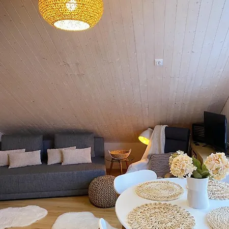 Apartamenty Jagodzianka - Jacuzzi, Sauna, Teznia Solankowa Ustrzyki Dolne Exterior foto