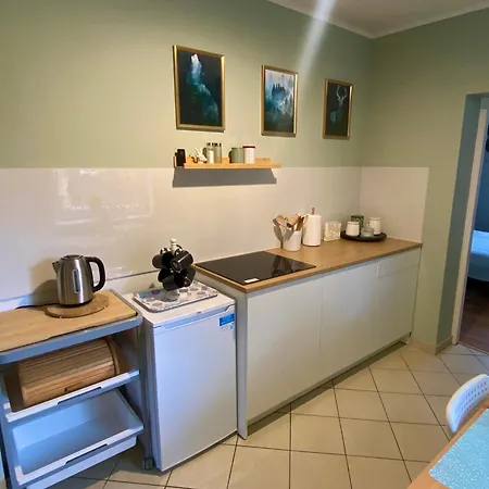 Apartamenty Jagodzianka - Jacuzzi, Sauna, Teznia Solankowa Ustrzyki Dolne Exterior foto