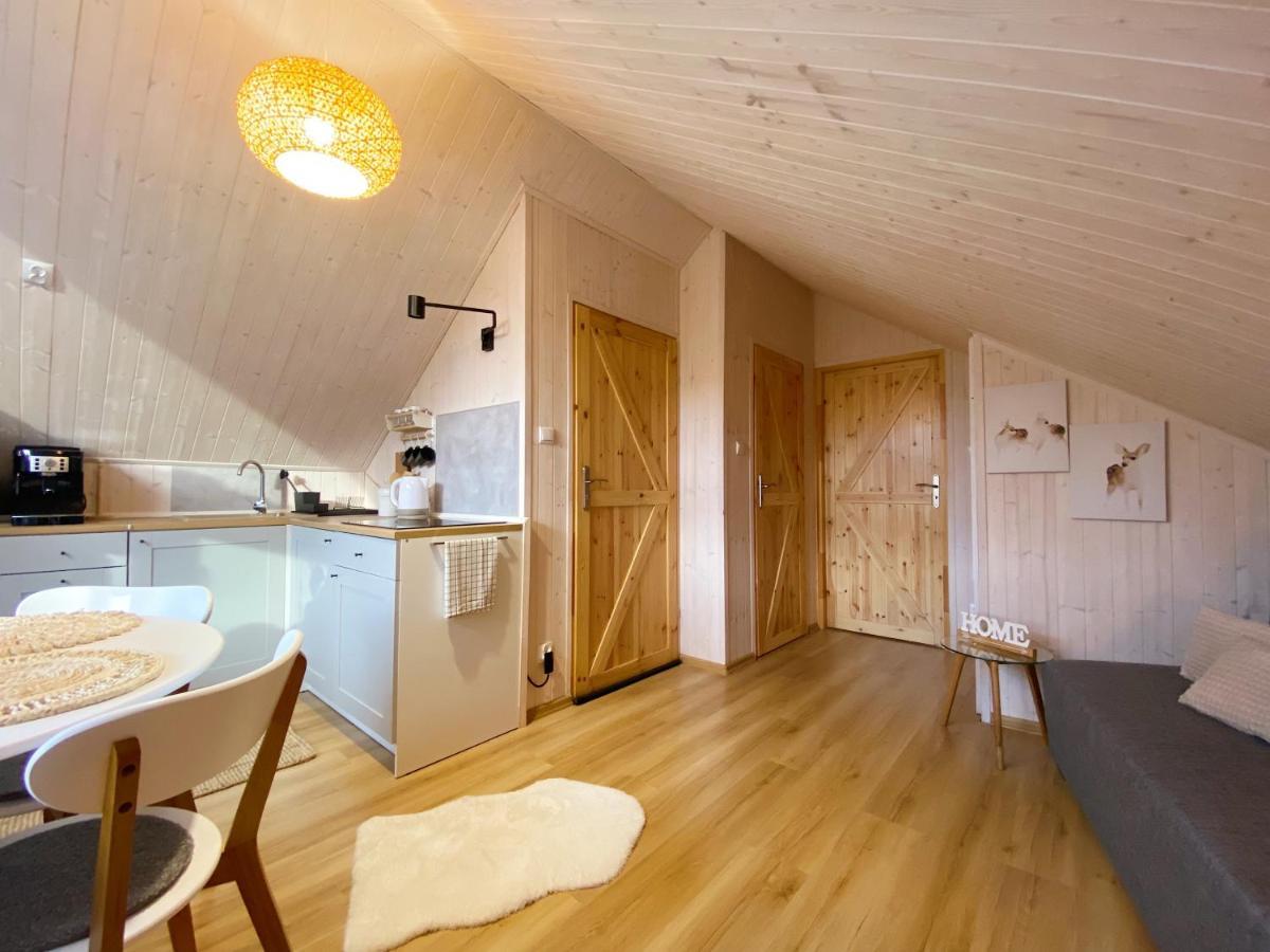 Apartment Apartamenty Jagodzianka - Jacuzzi, Sauna, Teznia Solankowa *