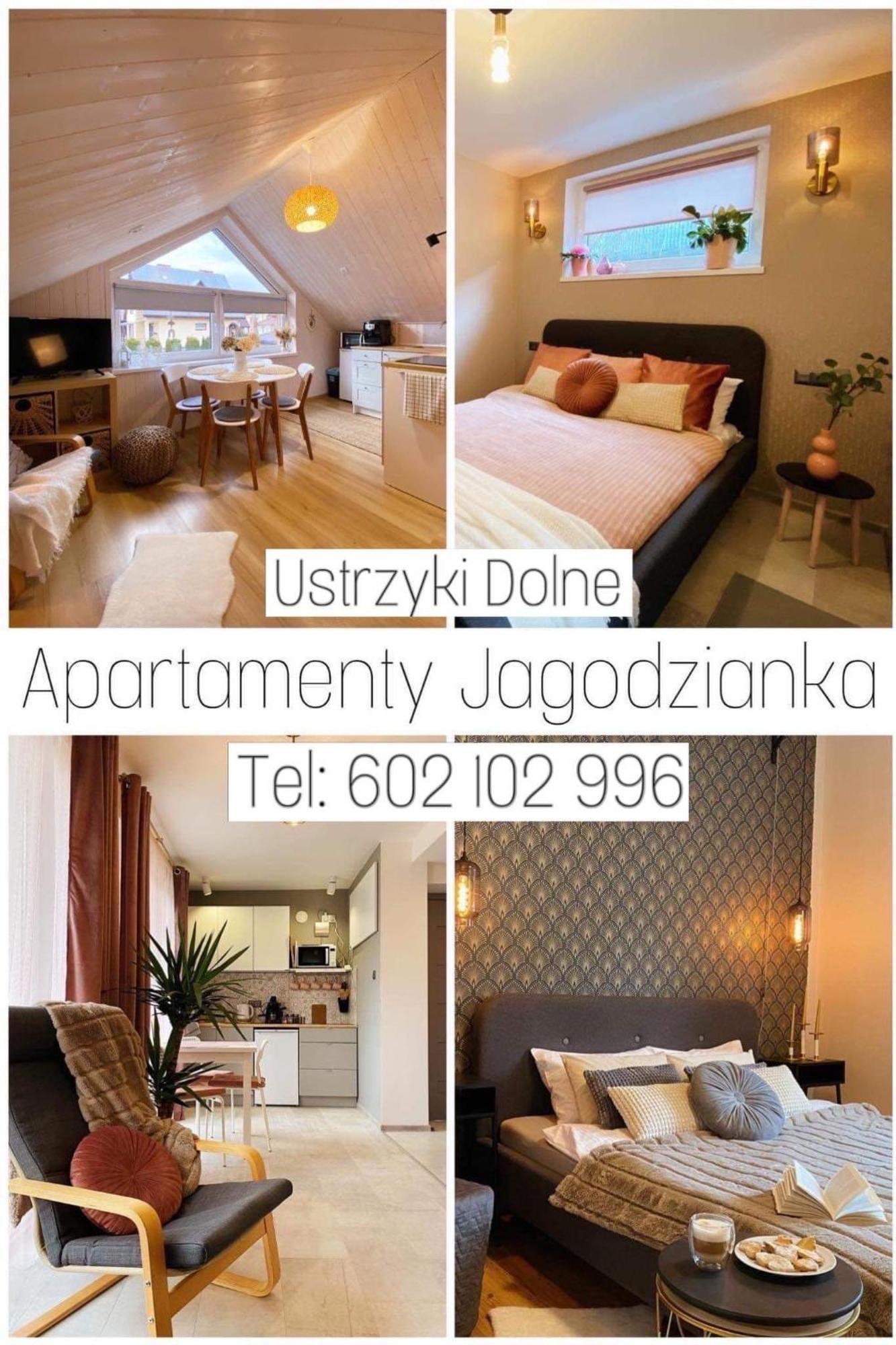 Apartamenty Jagodzianka - Jacuzzi, Sauna, Teznia Solankowa Apartment Ustrzyki Dolne